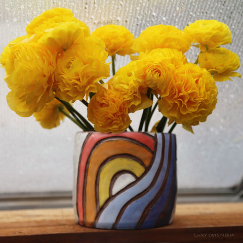 june | plant a rainbow