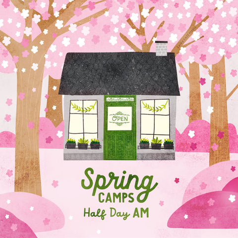 spring break camp | half days