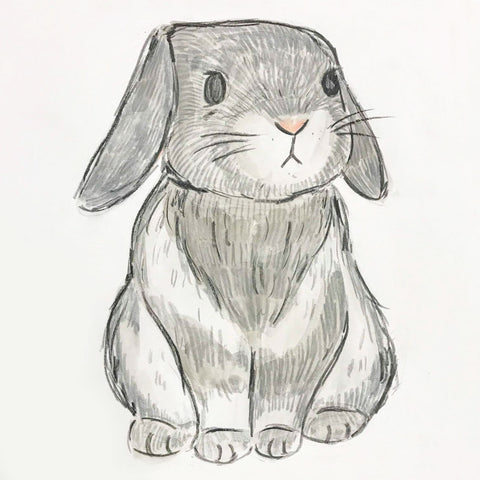 Bunny Love 6 Week Kids Session