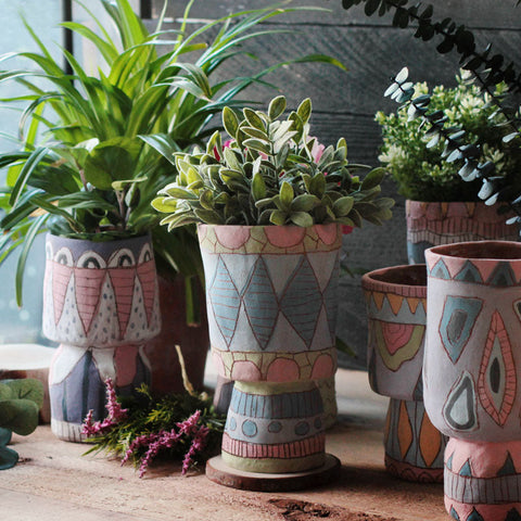 January | Happy Planters