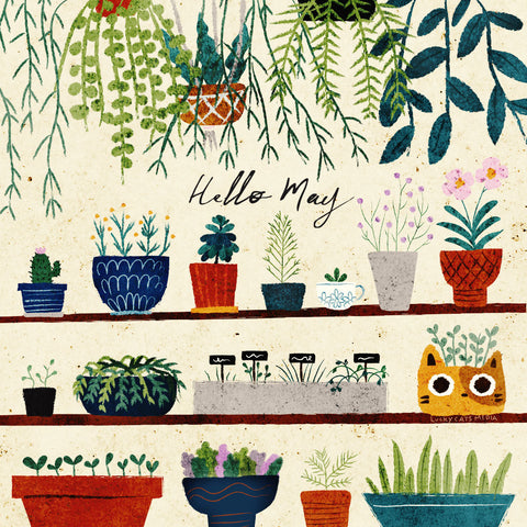 💐 may workshops